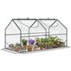 Mini Garden Greenhouse with 2 Roll-Up Windows and Anti-UV PVC Cover. 120x60x60cm. Transparent