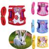 Small Pet Harness & Leash Set: Rabbit, Hamster, Guinea Pig Vest-Style Walking Rope