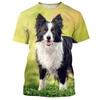 Border Collie 3D Gedrucktes T-Shirt Für Männer Mode Niedlicher Tierhund Unisex Rundhals Lässig Kurzarm T-Shirt Kleidung