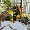 6Pcs Artificial Feather Colorful Hummingbird Painting Birds Figure Simulation Bird Statue  Home