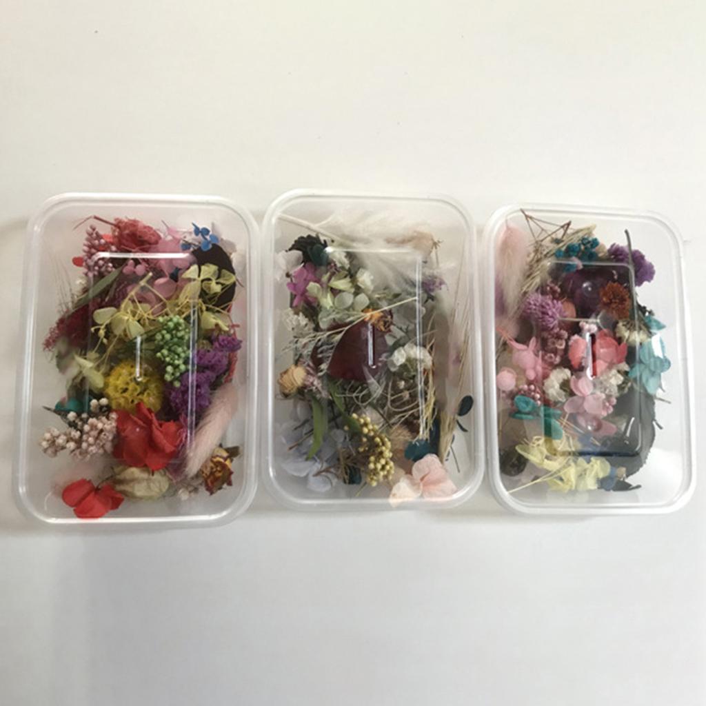 1 scatola di piante essiccate conservate, candele fai da te, creazione di gioielli, decorazioni artigianali