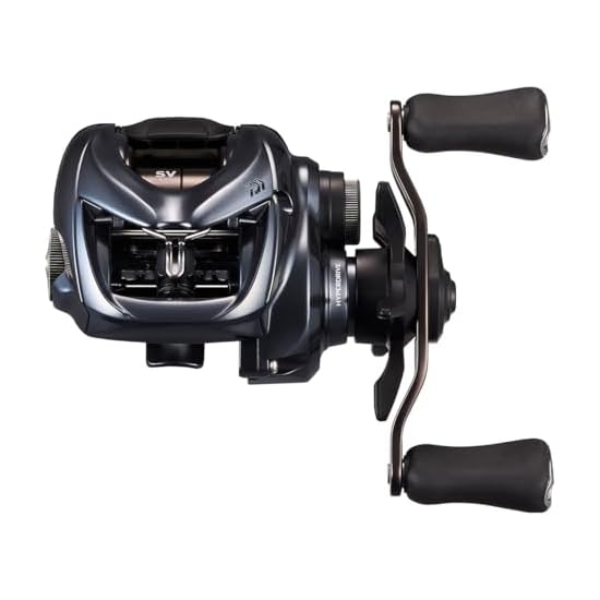 DAIWA Baitcasting Rolle 25 TATULA SV TW 100XHL
