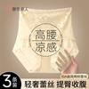 Urban Beauty High-Waist Lace Briefs