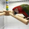 Large Size Rotating Bird Perch Toy Colorful Beads Hanging Bird Stand  for Pet Birds
