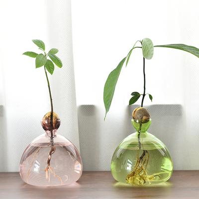 1PC Seed Growing Kit Gift For Gardening Lovers Home Decor Transparent Glass Vase