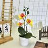 Compact Design Fake Flower Plant Phalaenopsis Bonsai Easy To Style