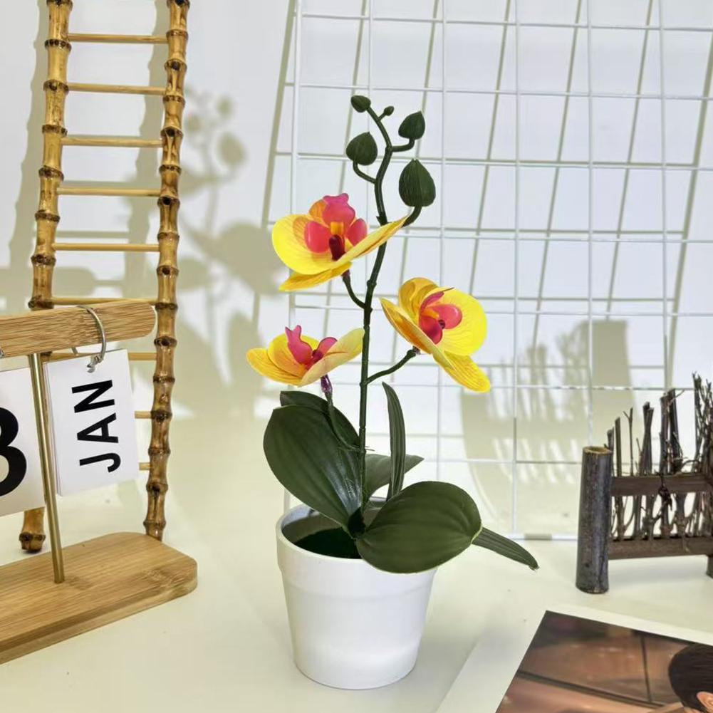 Compact Design Fake Flower Plant Phalaenopsis Bonsai Easy To Style