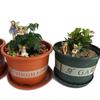 6pcs Fairy Garden Miniature Fairies Figurines Decoration Fairy Garden Accessories for Home Outdoor Yard Lawn Flower Pot