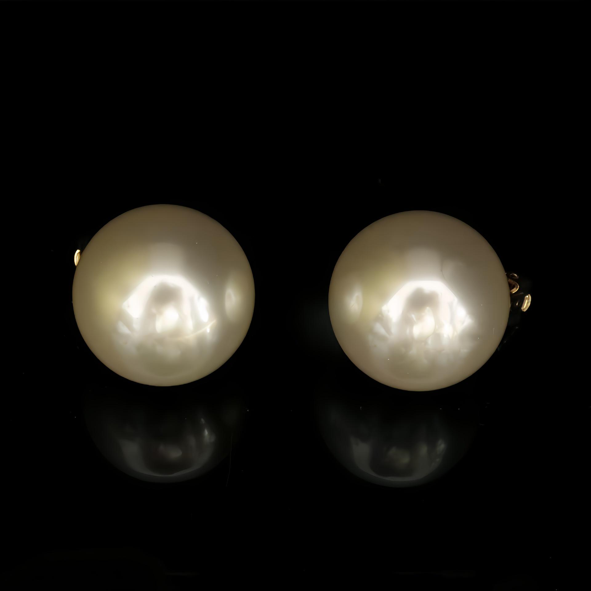 Elegant Hand-Woven Pearl Choker & Classic Pearl Earrings Set