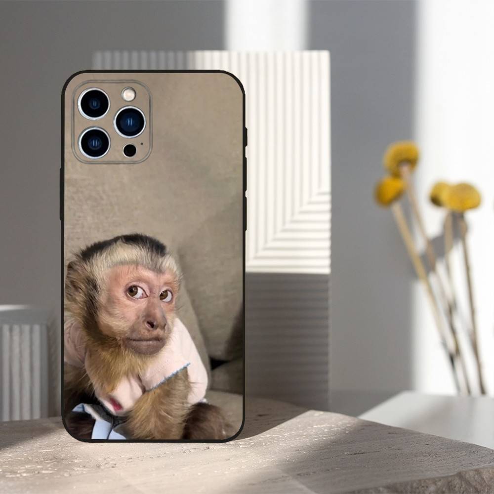 

S-Sipping C-Caprisun Monkey Case For iPhone 12,14,15,16,11,17,13,X,Mini,SE,XS,Plus,Pro,Max,8,7,XR,Soft Silicone Black iPhone13PROMAX