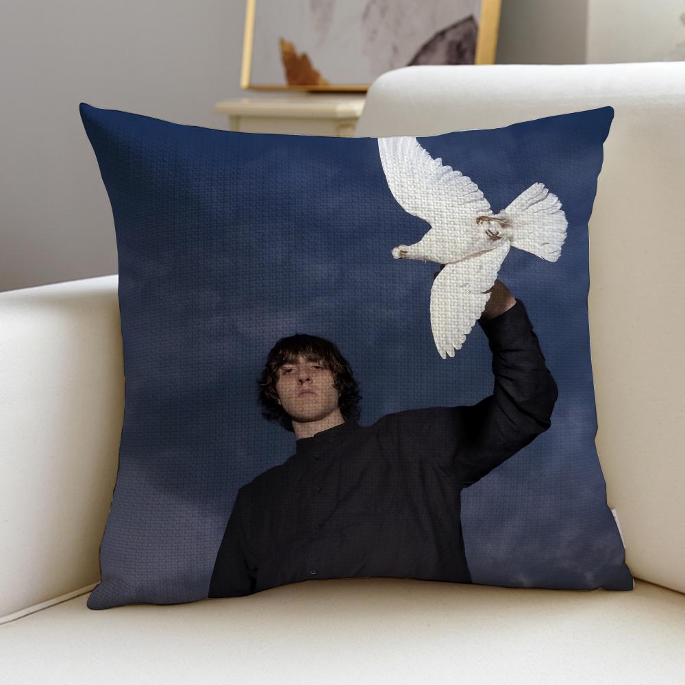

Rock GGeeseS Cushion Cover Breathable and skinfriendly linen pillowcase square removable and washable cushion 30X30cm