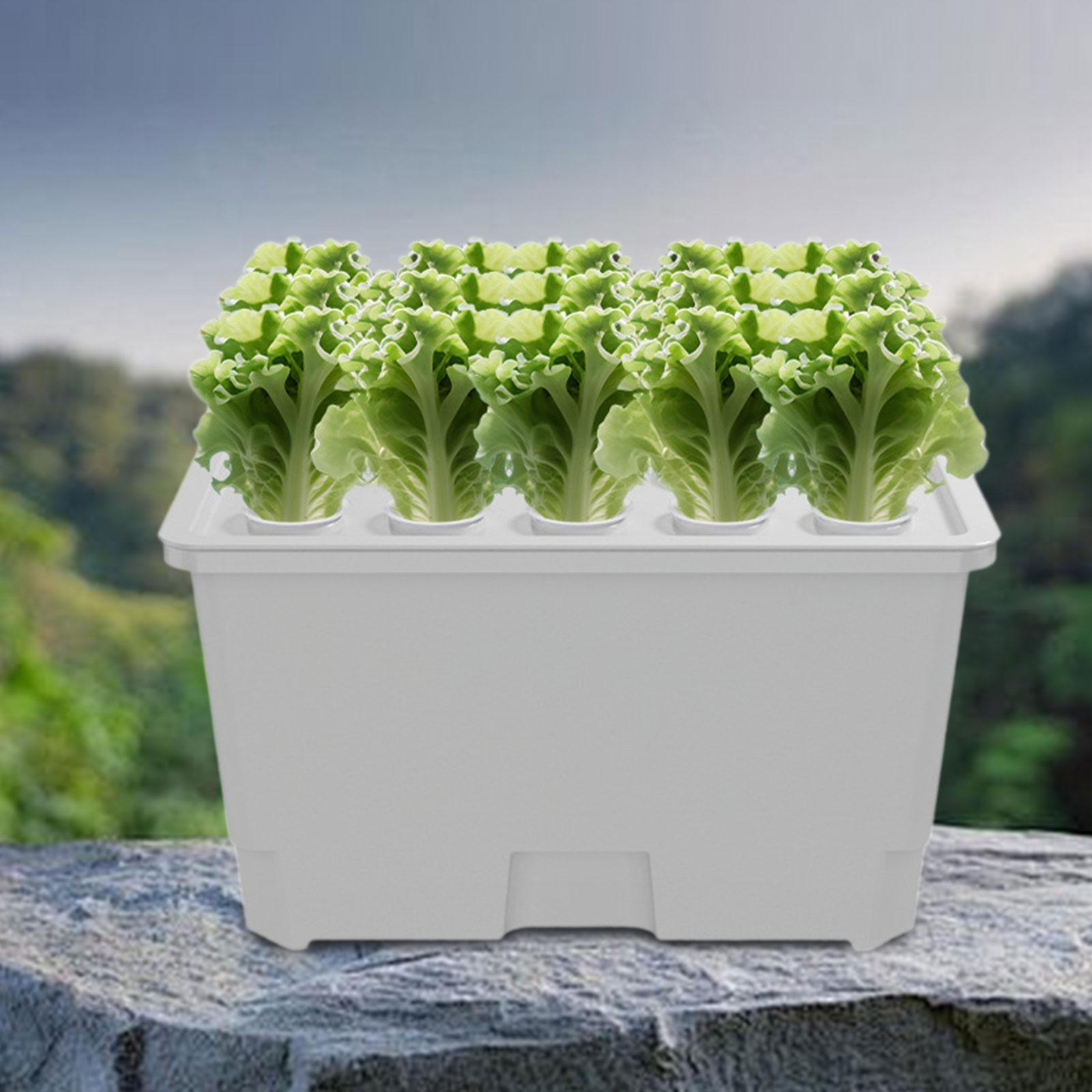 

Комплект системы выращивания 15 отверстий Легкий садовый посадочный контейнер Коробка для выращивания для улицы белый