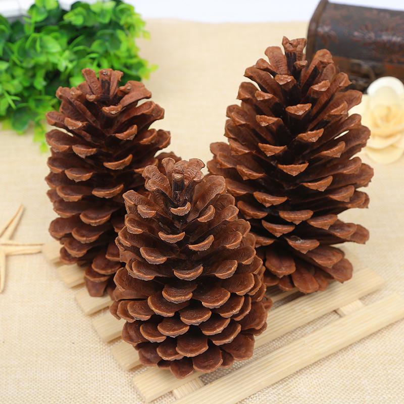 Kiefernzapfen Weihnachtsdekoration: Kiefernzapfen & Trockenblumen DIY Set
