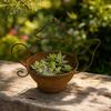 Rust-Resistant Kettle Shape Flower Pots Decorative Metal Teapot Planter  Outdoor Garden