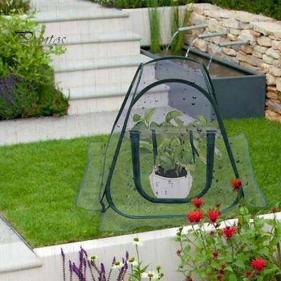 Mini Copertura per Serra Portatile Riparo per Vasi da Fiori Interno Esterno Stanza Solare PVC Trasparente Pieghevole Casa per Piante per Prevenzione Freddo e Gelo
