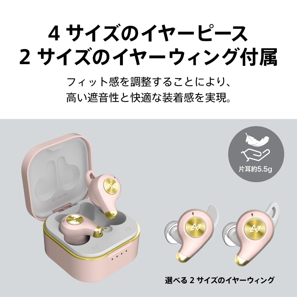 AVIOT TE-D01q2 True Wireless Earbuds Noise Cancelling Bluetooth 5.2 Microphone IPX4 Red Spinel