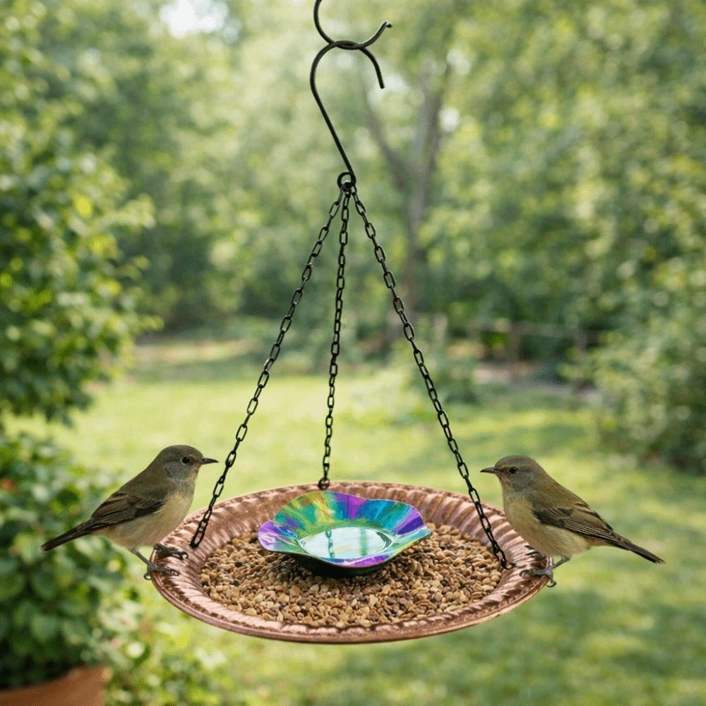 Vintage Design Hanging Bird Feeder Metal Parrot Feeder Tray Bird Food Container  Courtyard
