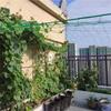 Trellis Netting Heavy Duty Garden Plant Trellis Netting for Climbing Plant Outdoor Indoor Grow Net for Beans Tomatoes