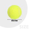 MulaF Practice Tennis Independent Club Tennis 12 Case Included Balls, Training, Beginners, Activities, School, Outdoor, Elastic, Pieces,