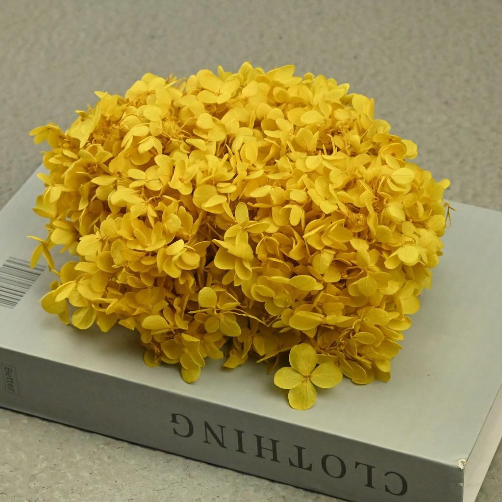 20g Natural Dried Flowers Hydrangea Macrophylla Home Flowers Decoration Wedding Celebration Bouquet Materials