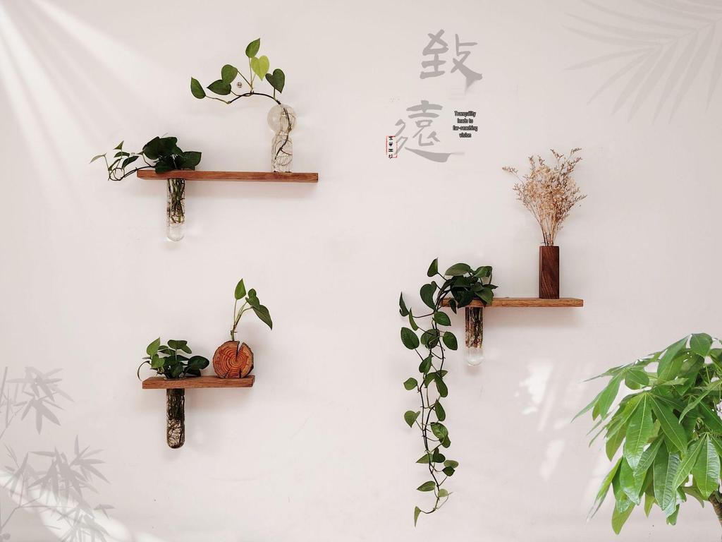 Solid Wood Wall-Mounted Flower Holder & Shelf - Decorative Vase for Plants & Water Culture