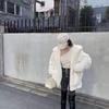 Koreanischer dicker Samtmantel Damen Winterkleidung Neue Jacke Version Lose Nachahmung Kaninchenfell Plüsch Kapuzenpelzmantel