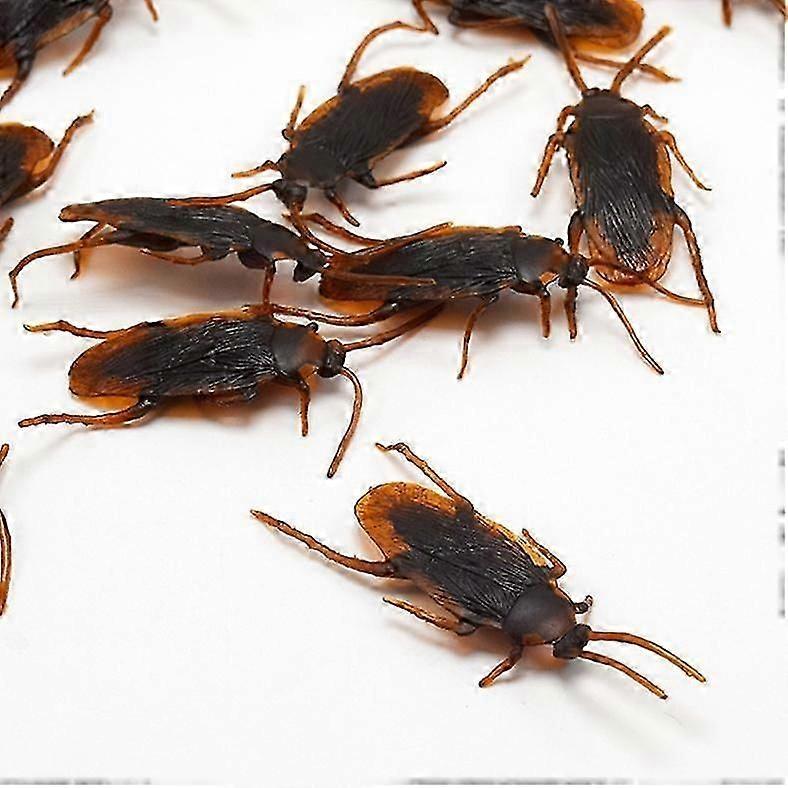 10Pcs Simulation Plastic Cockroach April Fool's Day Toy