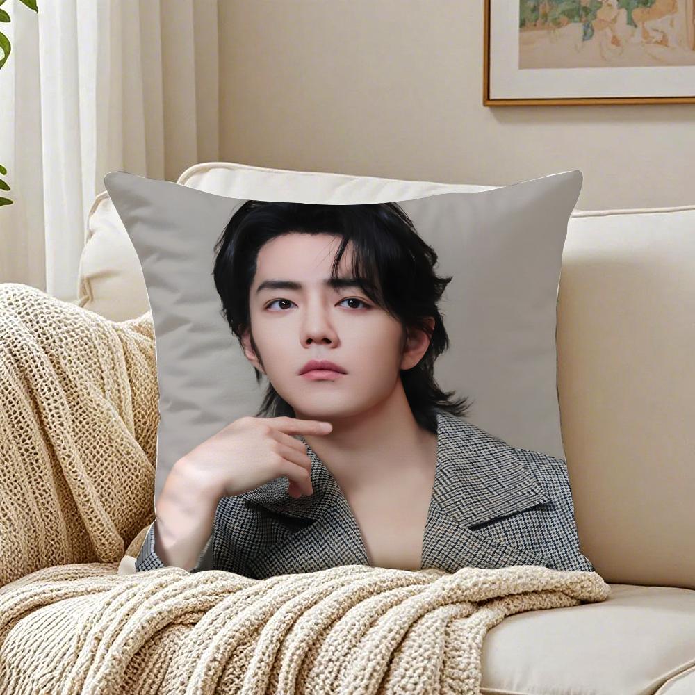 S-Sean Xiao Idol Fan Exclusive Cushion Cover Pillowcase Anti-Dustmite Living Room Sofa Decor Cushion Room