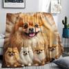 1Pc Pomeranian Bulldog Print Flannel Blanket, High Quality Comfortable for All Seasons, Home Decor, Warmth and Comfort, Perfect for Gifts