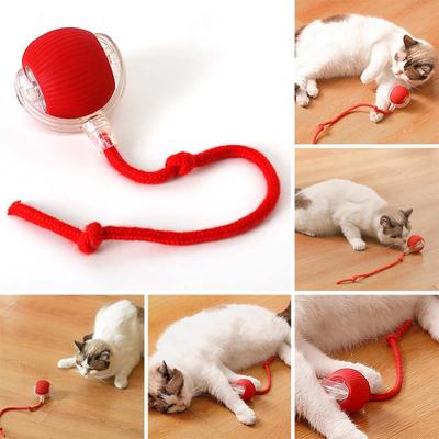 Gatti – Giocattoli per gatti