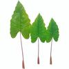 Artificial Caladium Leaves for Wedding, Home Decor, Landscaping, and Photography Props