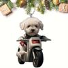 Car Acrylic Stylish Pendant Perfect For Decorative Touch In Vehicles And Trees Holiday