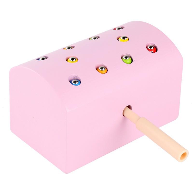 Magnetic Bug Catching Game: Fun Educational Toy for Kids