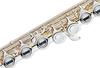 MAXTONE Flute TF-40S with Semi-Hard Case, Silver-Plated Finish