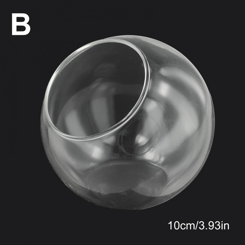 Bombki Przezroczyste Szkło Dekoracja Sukulent Stół 1 szt.