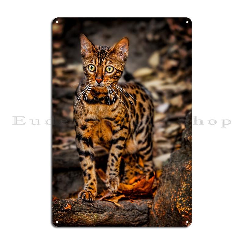 Bengal Cat Metal Sign Wall Plaque Club Party Living Room Designing Hand Drawn Bengal Cat Tin Sign Poster