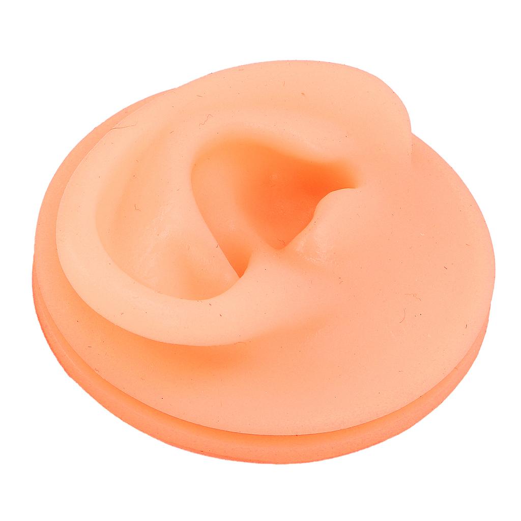 Silicone Ear Acupuncture Practice Model Reusable Simulation Ear Display Model False Ear Model