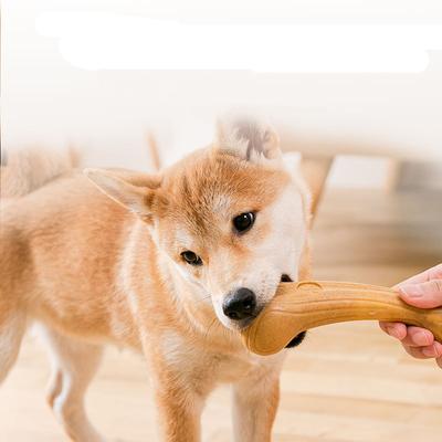 Husdjur Hund Tuggleksaker Molar Tänder Rengör Pinne Intressant Furuträ Söt Benform Hållbar Bett Valp Interaktiv Leksak Husdjurstillbehör