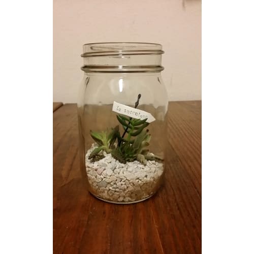 Aderia Silver Cap Storage Jars, 450mm, Set of 6, Glass Storage Containers, Canisters, Airtight Containers for Condiments, Coffee, and Beans, M6579