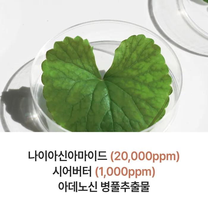 Himmlisches Veganes Mild Säurehaltiges Duschgel 500ml 2 Duftrichtungen