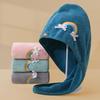 Microfiber Coral Fleece Quick-Dry Hair Wrap Towel