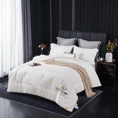Donner Home Soy Fiber Antibacterial All-Season Quilt