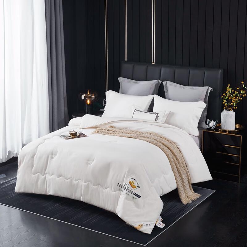 

Donner Home Soy Fiber Antibacterial All-Season Quilt