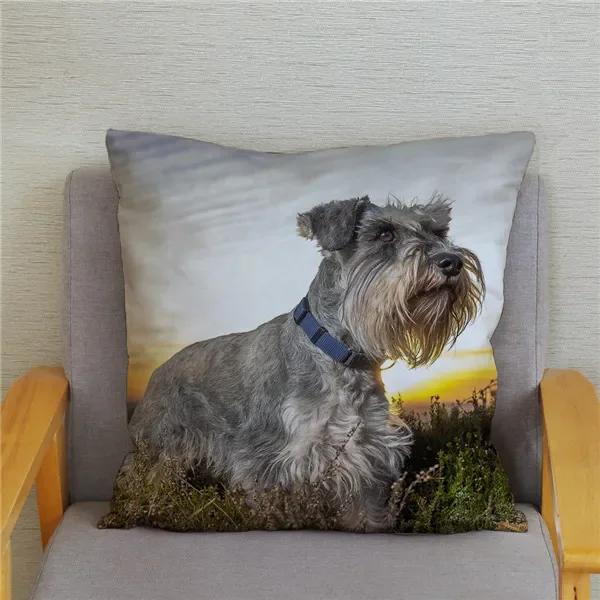 Home Bedroom Pillowcase Cute Schnauzer Print Cushion Cover Decor