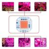 LED Chip COB Lamp 20W 30W 50W AC 220V 100V IP65 Smart IC No Need Driver DIY Flood Light Led Bulb Spotlight Outdoor Lamp Bead