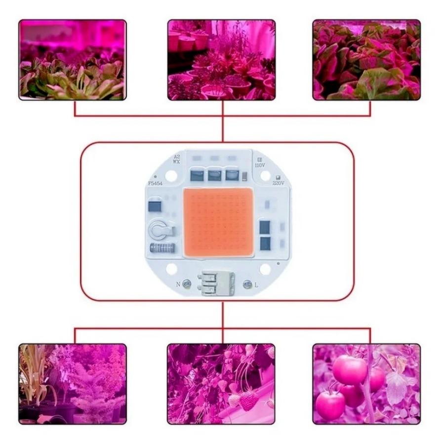 LED Chip COB Lamp 20W 30W 50W AC 220V 100V IP65 Smart IC No Need Driver DIY Flood Light Led Bulb Spotlight Outdoor Lamp Bead