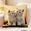 Couple Cat Print Decorative Pillowcase Bedroom Living Room Square Cushion Pillowcase