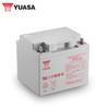 YUASA NP Series 12V Lead-Acid Battery (NP100-12, NP65-12, NP38-12, 24AH) - UPS Compatible