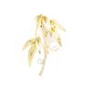 Classic Chinese National Style Golden Bamboo Brooch High-end Exquisite Diamond-encrusted Natural Freshwater Pearl Bamboo Leaf Plant Pin Men and Women