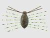 Jackall Need Bug 28.5mm Floating Lure Green Pumpkin Chart Flakes (5119)